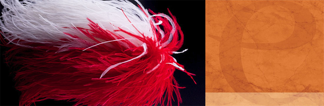 Plumes-Plumets Plumes-Plumets